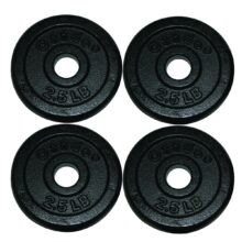 Iron Disc Weight Plate - set of 2.5 lb x 4