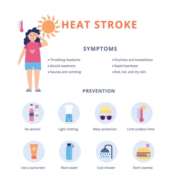 Heatstroke prevention infographic