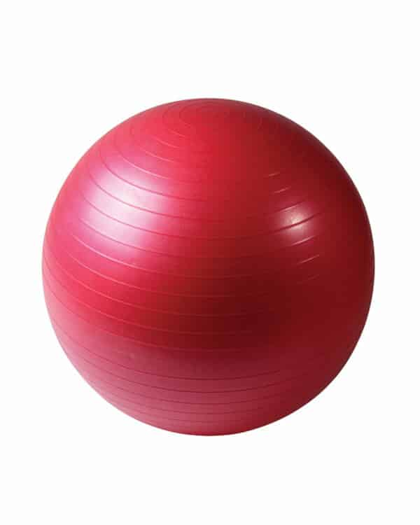 Concorde Anti Burst Stability Ball - 55CM